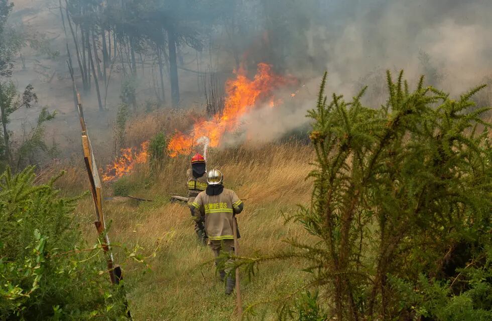 Bomberos trabajan en apagar un incendio en Puren, Región de la Araucania (Chile). Los incendios ya han destruido más de 45.000 hectáreas en el centro y sur del país.