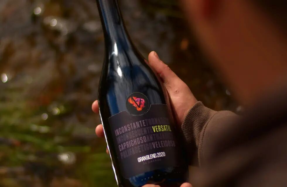 Versátil, el vino que nació en un garage y hoy se distribuye en el país.