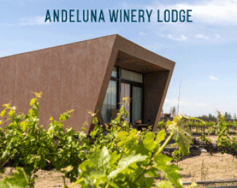 Andeluna Winery Lodge, la ambiciosa propuesta de hospitalidad que rinde tributo a la montaña