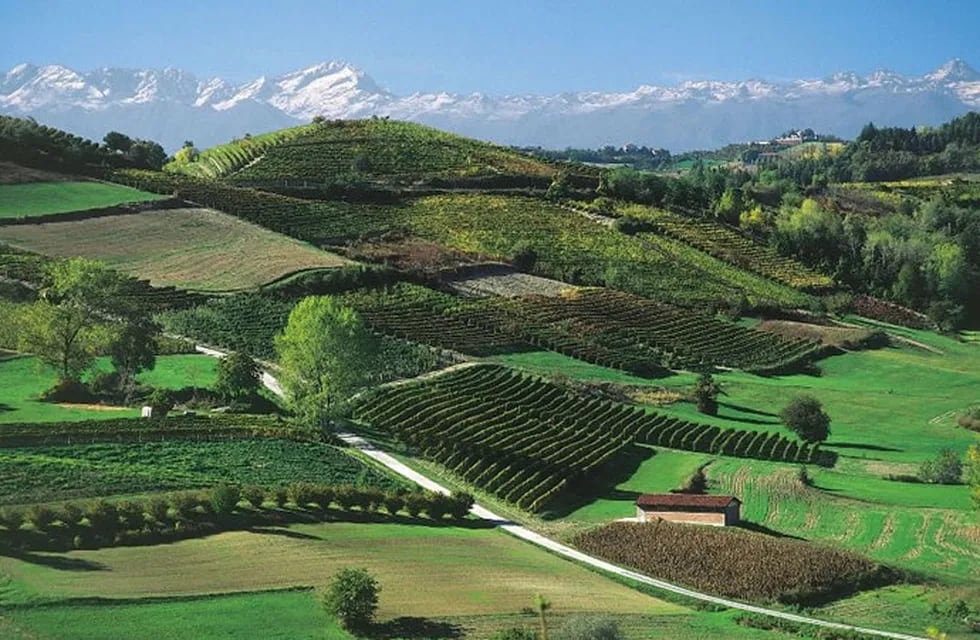 El Piamonte italiano es una de las regiones reconocidas por la UNESCO como Patrimonio de la Humanidad. - Gentileza