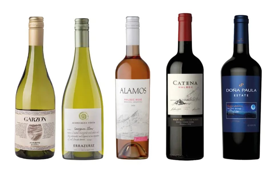 Entre los elegidos por Decanter hay varios vinos de Argentina. - Gentileza Decanter