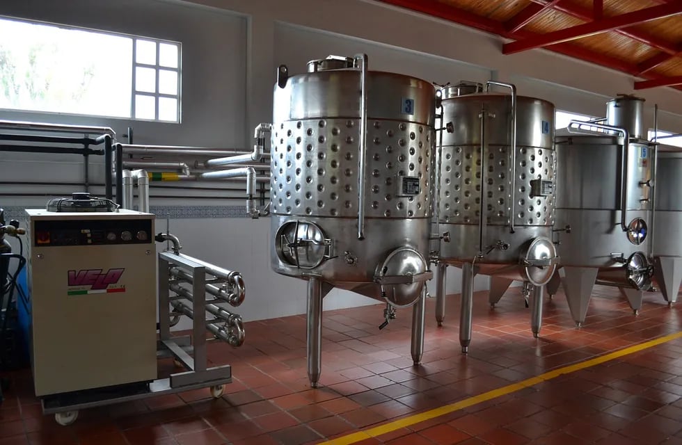 Fermentación del vino, los dos componentes que hacen a una calidad alta.