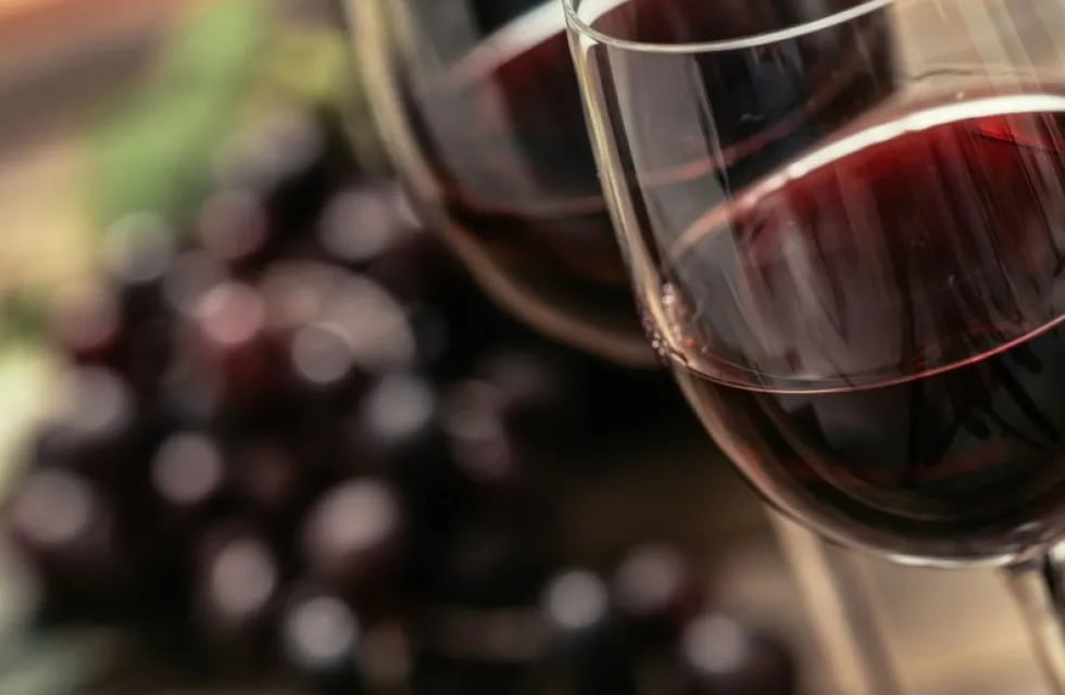 La ciencia determinó cuál es el mejor maridaje para el vino tinto. - Imagen ilustrativa