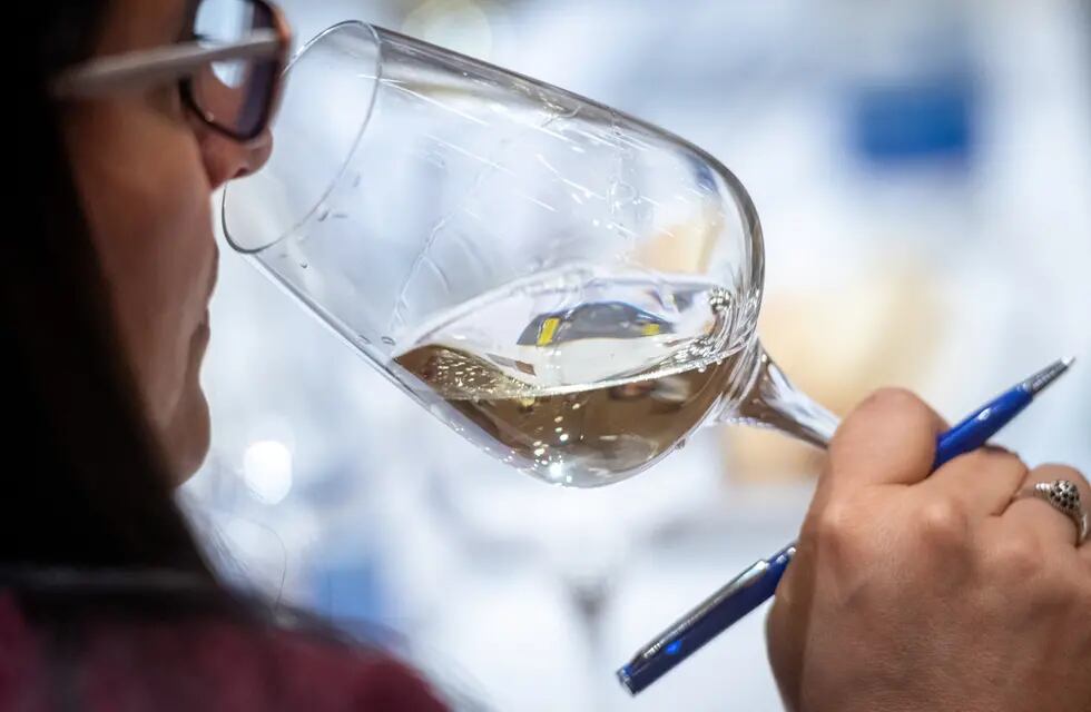 El Chardonnay fue el varietal blanco premiado en el Concurso Nacional de Vinos Guarda14. - Ignacio Blanco / Los Andes