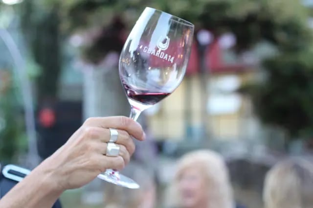 Feria de vinos Guarda14