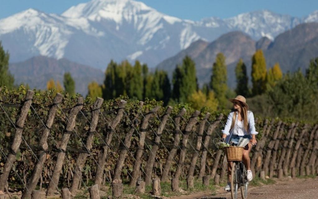 Las bodegas del mundo están en Mendoza y participan del World’s Best Vineyards.