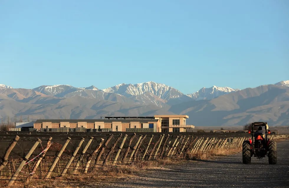 Los viñedos de Domaine Bousquet con la bodega de fondo. -Archivo Los Andes.