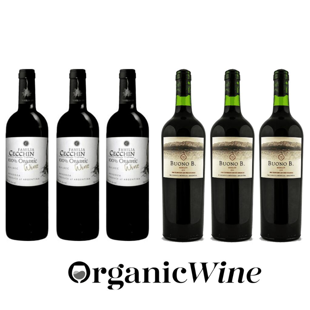 Una gran opción son los vinos orgánicos de Cecchín.