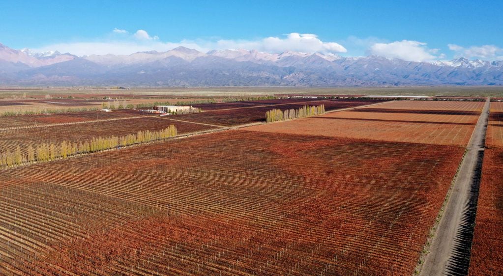 El Valle de Uco fue distinguido como una de las mejores regiones vitivinícolas del mundo. - Claudio Gutiérrez / Los Andes