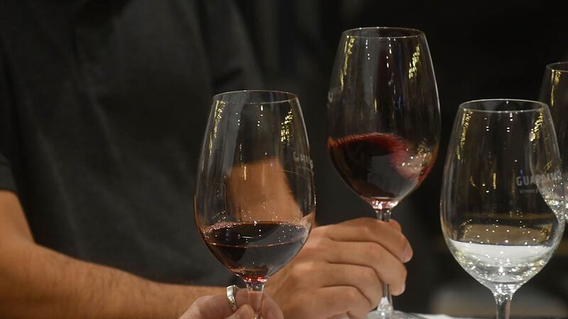 Los seis secretos de los sommeliers para disfrutar el vino al máximo