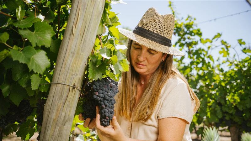Conocé a la experta en espumantes que se animó a los “naranjos” y hoy define la “materialización del esfuerzo”