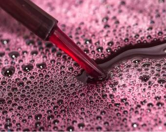 Los hongos del vino: las levaduras.