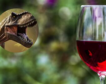 La extinción de los dinosaurios, clave, para la propagación de las plantas rastreras.