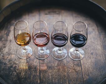 Vinos, degustación.