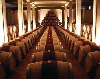 Las barricas de crianza, de la Bodega mendocina galardonada con un importante premio a nivel mundial.