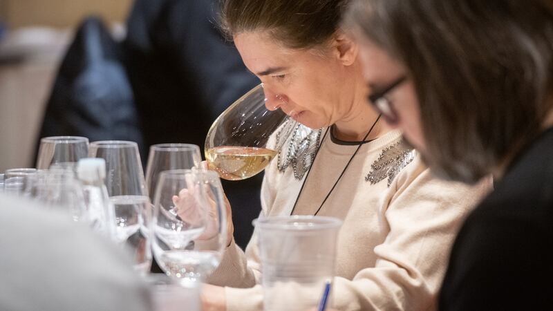 Concurso Nacional Guarda14: un certamen que premia la calidad de vinos y espirituosas