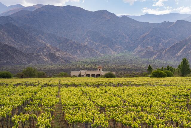 Cafayate se prepara: en marzo llega Wine Trail 2023