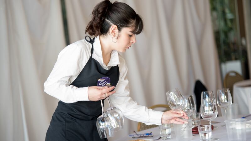 Carreras relacionadas con el mundo del vino: están abiertas las inscripciones para estudiar en Wine Institute