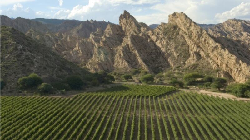 Navidad y Año Nuevo en Salta: un viaje planeado por el enólogo merecedor del “Gran Oro” para disfrutar en familia