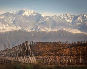 Son tan solo siete las bodegas que tienen vinos aprobados por la DOC Luján de Cuyo. - Ignacio Blanco / Los Andes