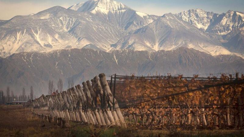 La DOC Luján de Cuyo sumó a dos bodegas por primera vez en su historia: quiénes la integran