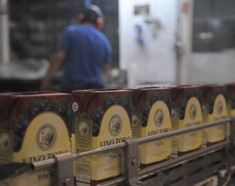 El vino en caja es la única presentación que mantuvo sus ventas en el primer trimestre del 2024.