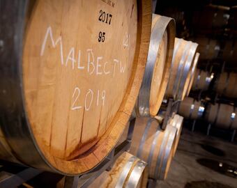 El Malbec fue la cepa más premiada del Concurso de Vinos Guarda14. - Ignacio Blanco / Los andes