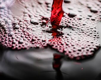 Un fenómeno natural que no altera ni la calidad, ni el sabor del vino y que afecta positivamente a la salud del consumidor.