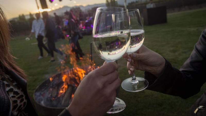 Vino blanco: cuál es la diferencia entre un Sauvignon Blanc y un Chardonnay