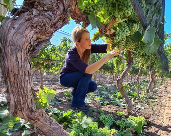 Victoria Prandina: “En Vinorum creamos experiencias que generan emociones”