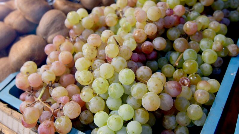 Los dos beneficios claves, que aporta un tipo de uva, a la salud