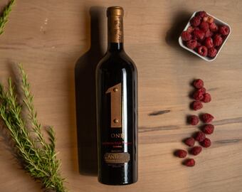 Los mejores Malbecs del país fueron elegidos por los expertos en el Concurso Nacional de Vinos Guarda14.