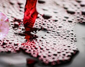 Cómo reconocer los vinos florales.