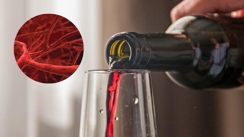 El beneficio que aportaría el consumo moderado de vino a la sangre y qué efermedad ayudaría a prevenir