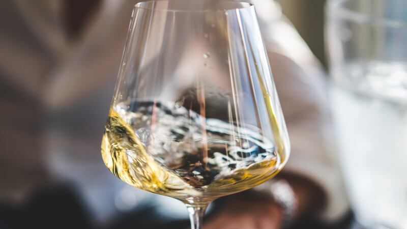 Vinos Jóvenes: qué son y por qué debes disfrutarlos en su primer o segundo año de vida