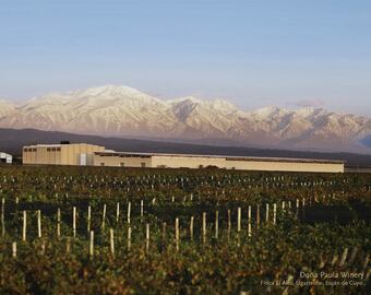 Una de las bodegas más destacadas del Valle de Uco sumará un enólogo chileno. - Gentileza