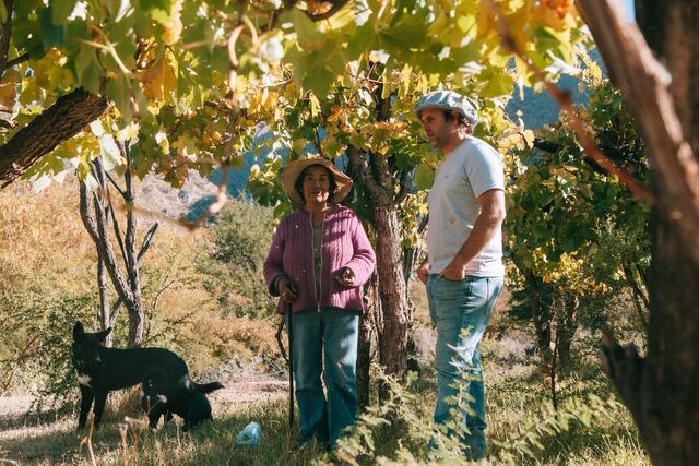 Mano a Mano con Agustín Lanús, viticultor del Noroeste Argentino: “no tengo dudas que el Valle Calchaquí es la futura Borgoña”.