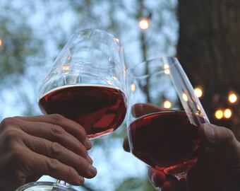 Astringencia del vino.