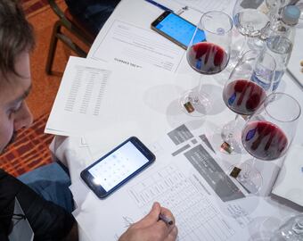 Últimos 8 días: inscribite en el certamen que premia la excelencia en vinos, ¿por qué es tan importante participar? Foto: Ignacio Blanco / Los Andes