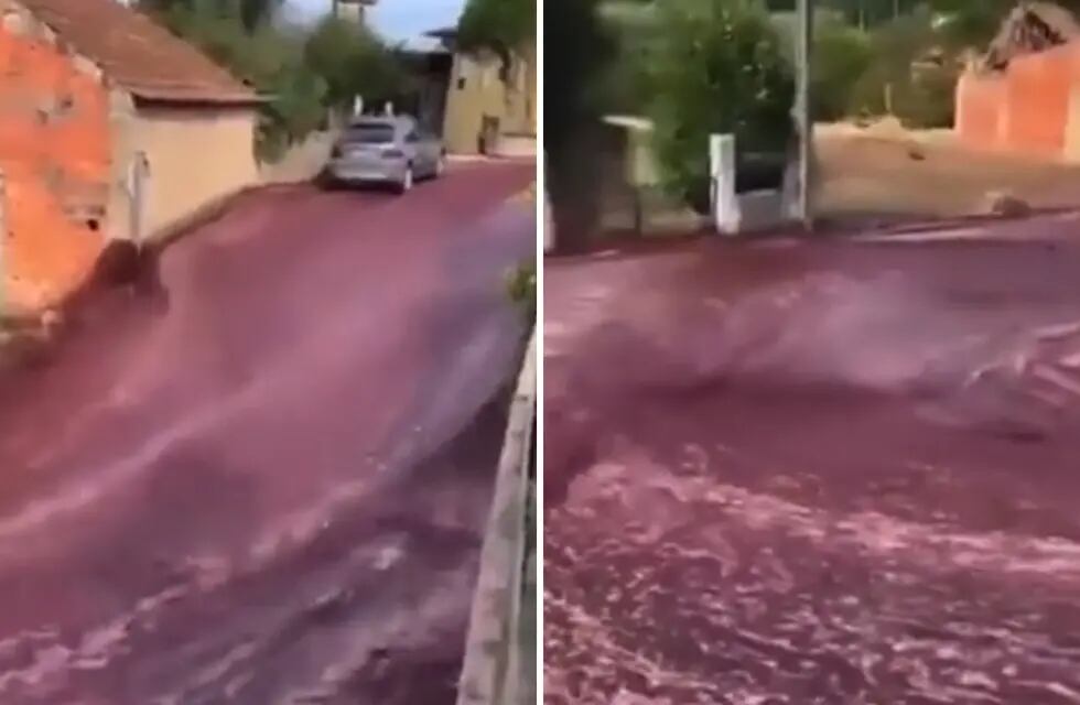 Un río de vino sorprendió a los vecinos de Anadia, Portugal. - Captura de video