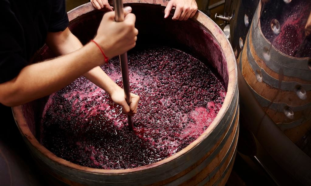 Se cree que la industria vitivinícola produce 14 millones de toneladas de orujo. -Archivo.