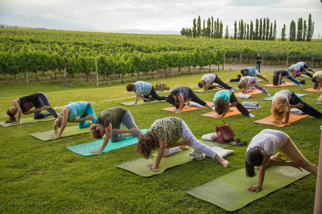 Yoga por los Caminos del Vino 