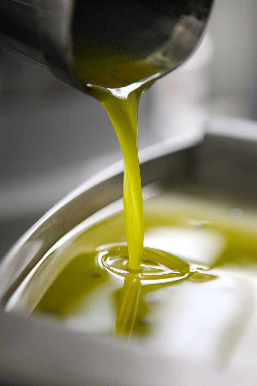Aceite de oliva: cómo reconocer un productor de buena calidad.