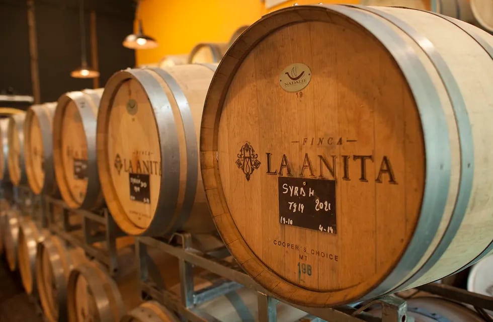 Finca La Anita completará la certificación orgánica de sus viñedos para 2022. - Gentileza