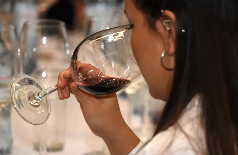 Una dieta basada en el consumo de vino puede ayudar a bajar hasta seis kilos en dos semanas. - Archivo / Los Andes