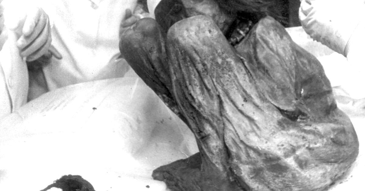 Los Misterios del Aconcagua: la historia del hallazgo de la momia inca y  sus secretos | Sociedad