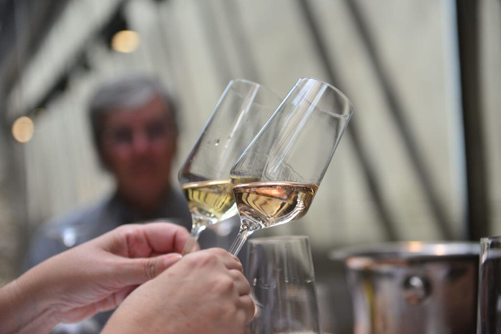 Los vinos espumantes pueden ser elaborados a partir de uvas blancas o tintas. Foto: Javier Ferreyra.